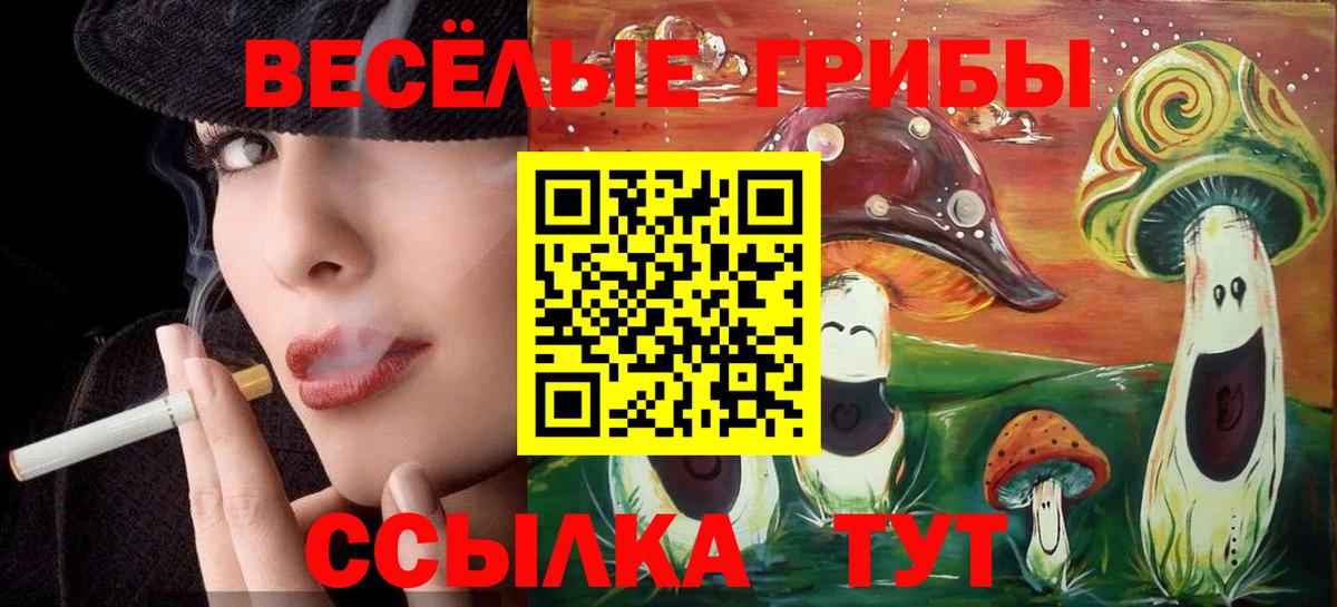 Галлюциногенные грибы Magic Shrooms  Вход с VPN  Нижнеудинск 